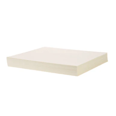 16 3/8 in x 18 3/8 in Fryer Filter Paper 100/PKG