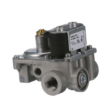 IN/OUT Regulator 3/8" FPT, 24V
