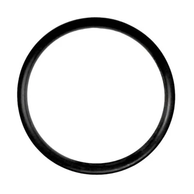 Piston O-Ring for Bronco and Pony Pumps